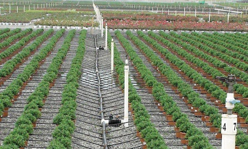 Agriculture & Rural Development